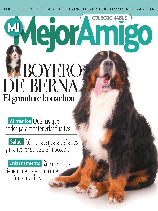 Title details for Razas caninas - Mi mejor amigo by Media Contenidos - Available